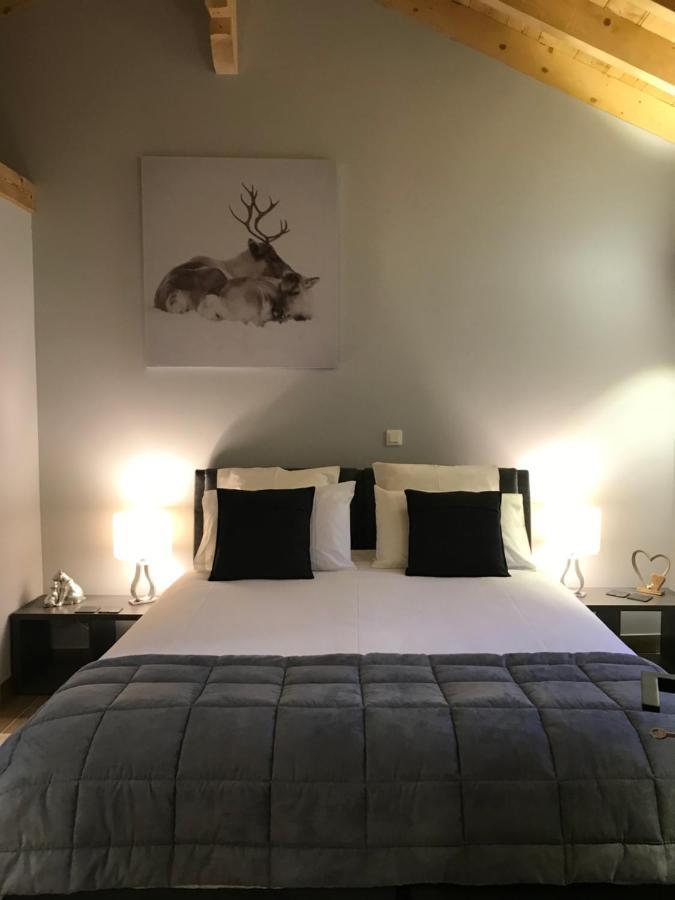 Chalet Barbara With Swimming Pool In The Heart Of Oisans Le Bourg-d'Oisans Ngoại thất bức ảnh